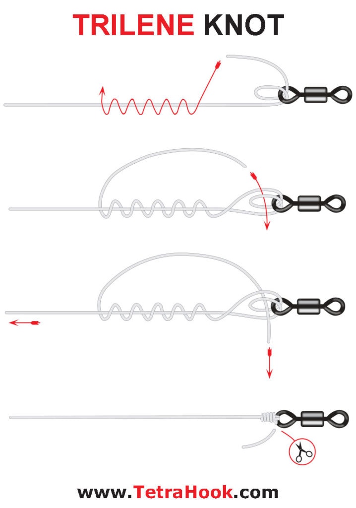 Fishing Knots With Braided Line in 11 Different Easy Ways, Tetra Hook