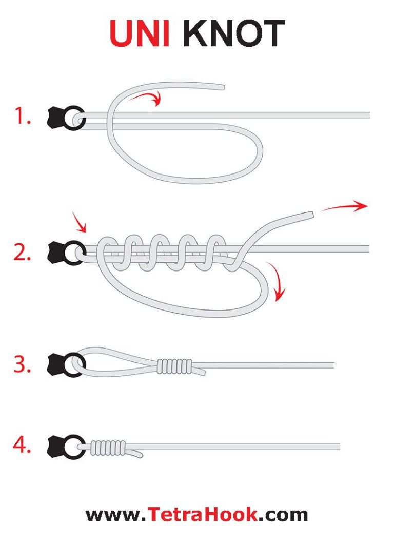 11 Easy ways of Fishing Knots with Braided Line – Tetra Hook