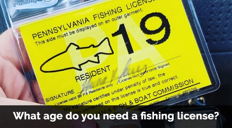 what-age-do-you-need-a-fishing-license-tetra-hook