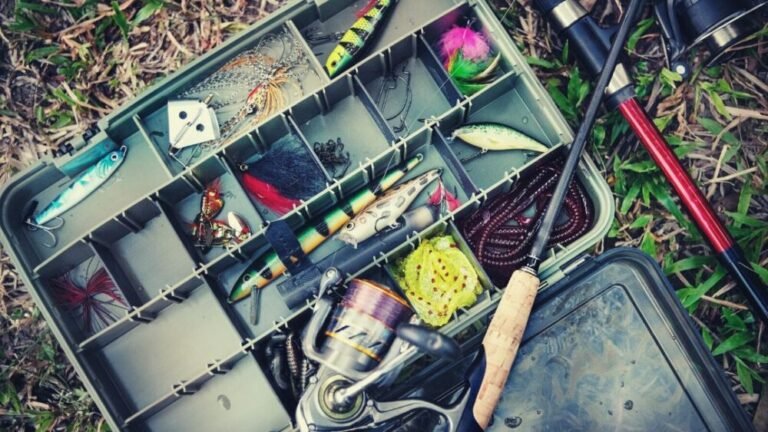 Best Bait For King Salmon Fishing