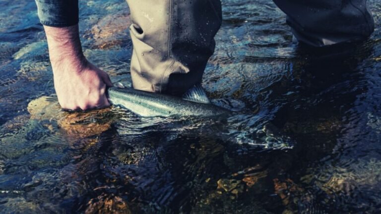 Is Salmon Fishing Good In The Rain