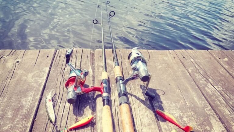 What Action Rod Is Best For Crankbaits