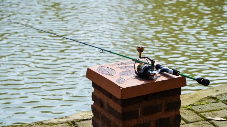 How Many Bass Rods Do I Need