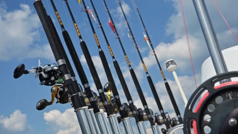 Uses Of Different Fishing Rod Length And Action