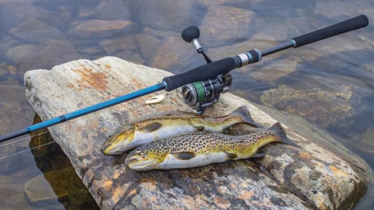Spin Fishing for Trout