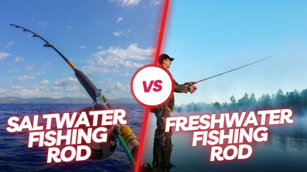 Saltwater Vs Freshwater Fishing Rods: What to Know Before You Cast Off! –  Tetra Hook