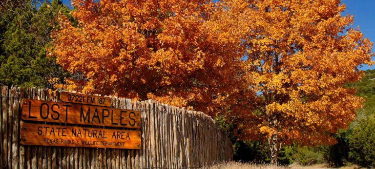 10 Great places to go Fishing in San Antonio, Texas