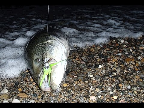 12 Tips For How To Fish a Bucktail in the Surf