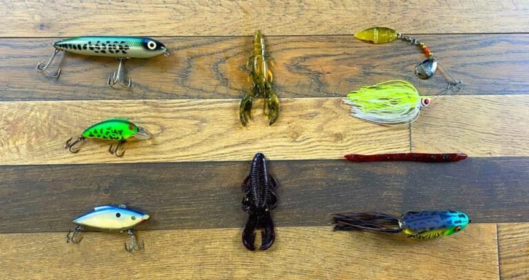5 Best Summer Bass Lures: Warm Weather Favorites