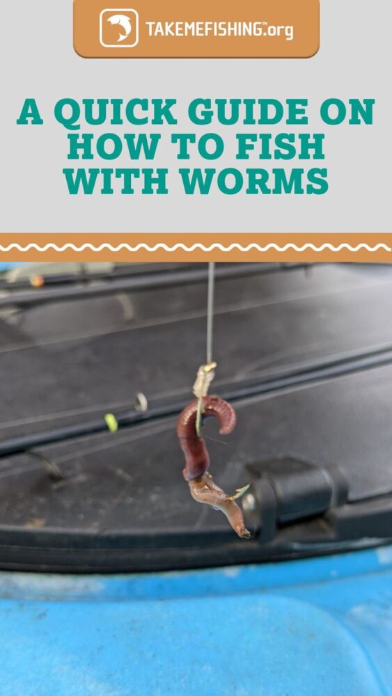 A Quick Guide On How To Fish With Worms