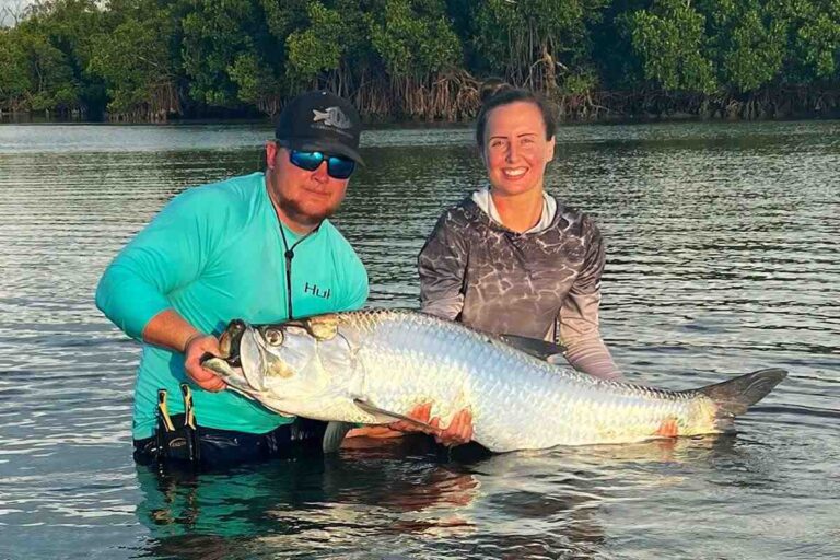 Best bait for tarpon fishing that will improve your catch