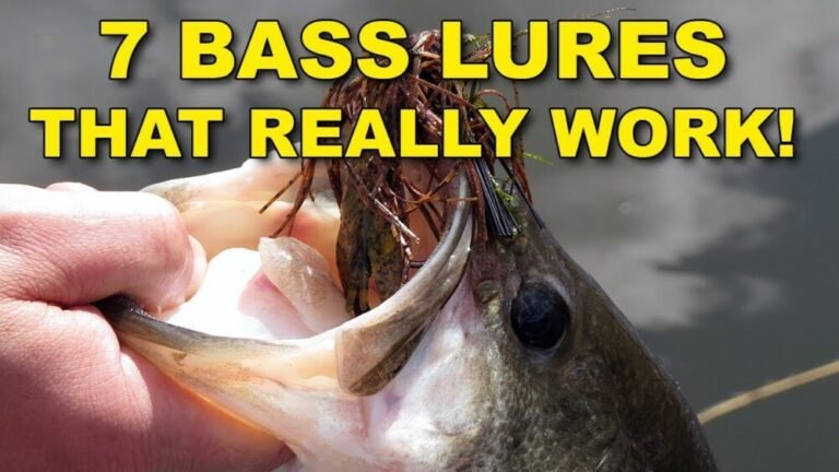 Best Freshwater Fishing Lures & Info