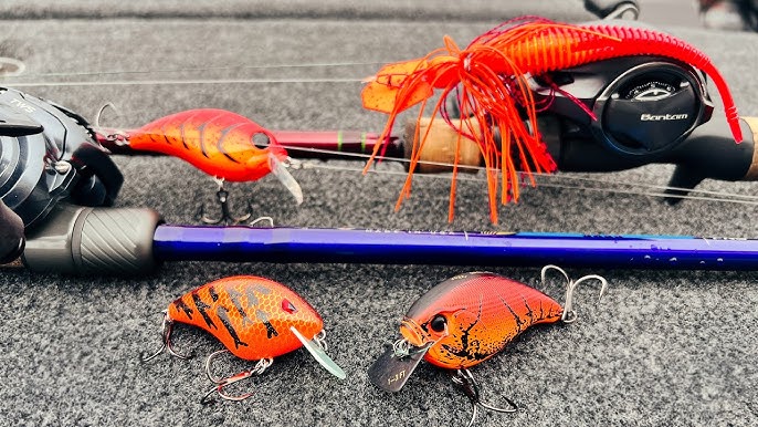 Best Lure Color for Muddy Water Fishing