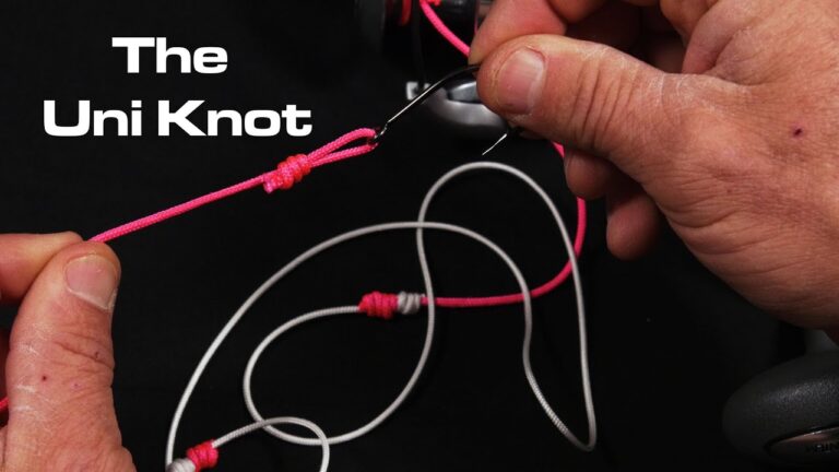 Best Saltwater Fishing Knots to Learn