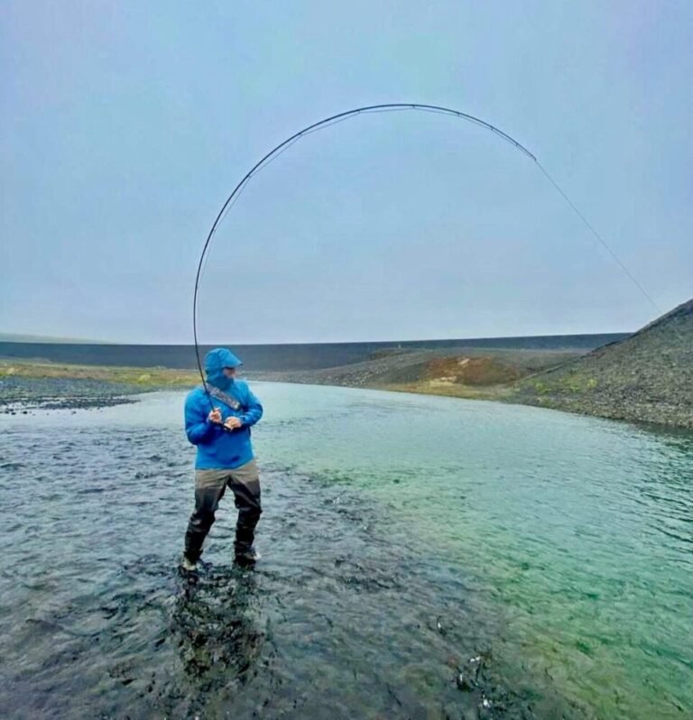 Best Types of Fly Fishing Rods