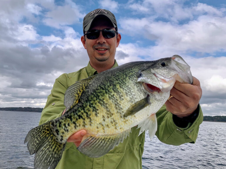 Black Crappie: Discover how to identify and tips to catch