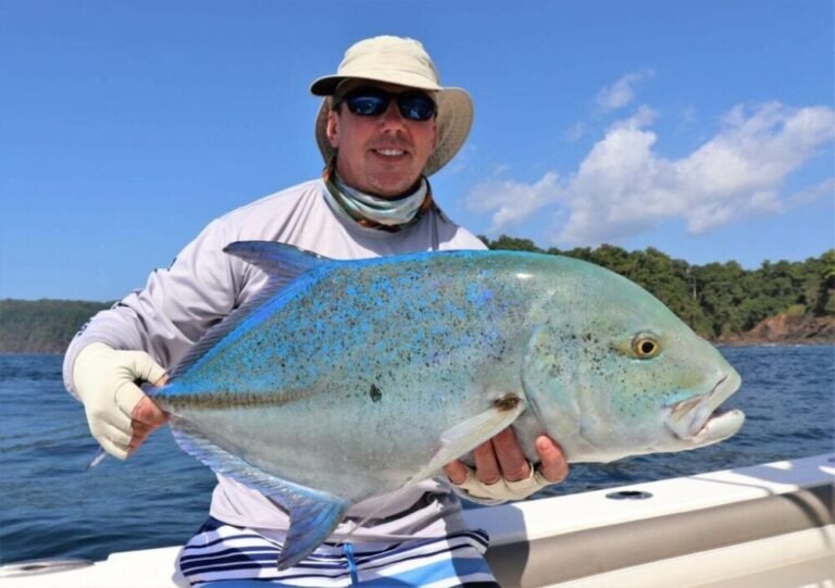 Bluefin Trevally: Discover how to identify and tips to catch