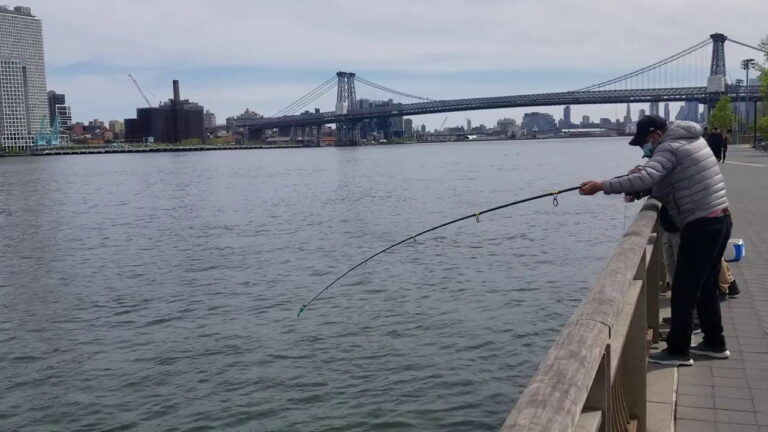 CÃƒÂ³mo obtener tu licencia de pesca de Nueva York