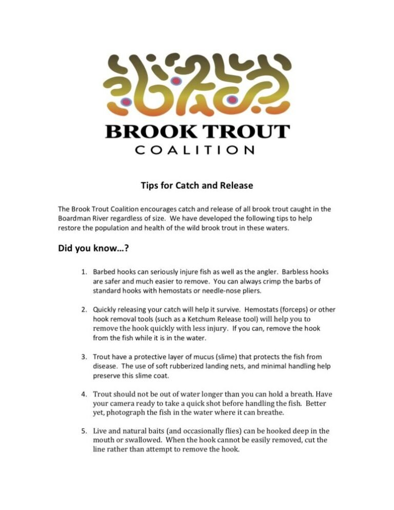 Catch And Release Fishing: 4 Tips for Easier Hook Removal