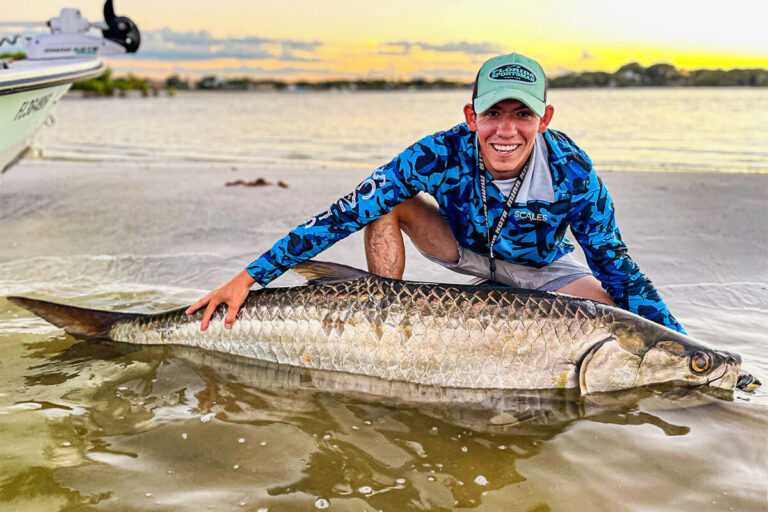 Cobia: Discover How to Identify And Tips to Catch