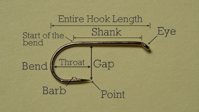 Fishing Hooks: Sizes, Types, Anatomy