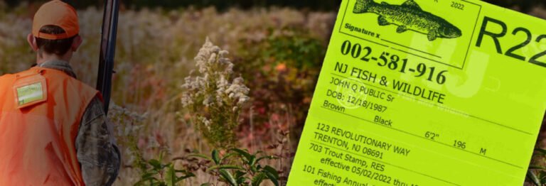 Fishing Without a License in New Jersey: Where You Can ...