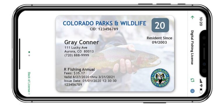 Get a Colorado Fishing License