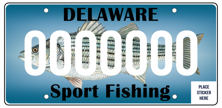 Get a Delaware Fishing License