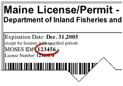 Get a Maine Fishing License