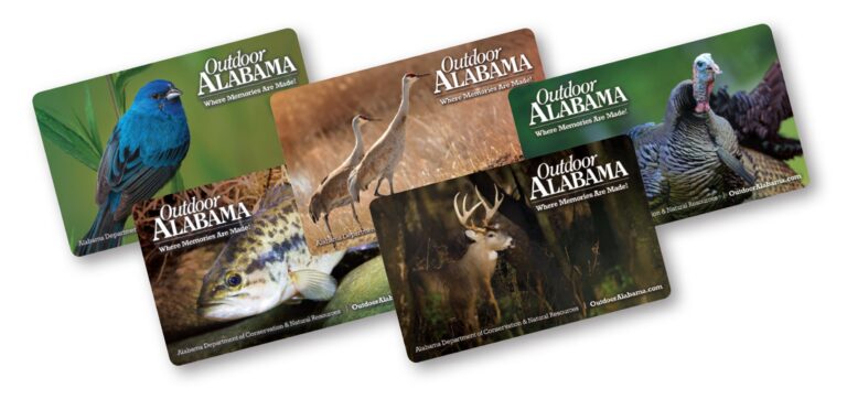 Get an Alabama Fishing License