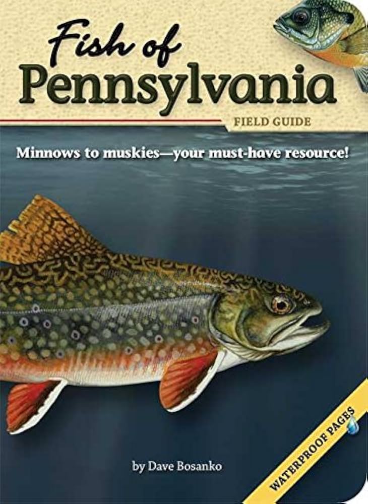 Guide to Fishing in Pennsylvania