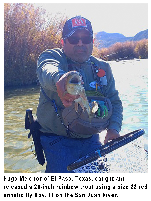 Handy New Mexico Fishing Reports