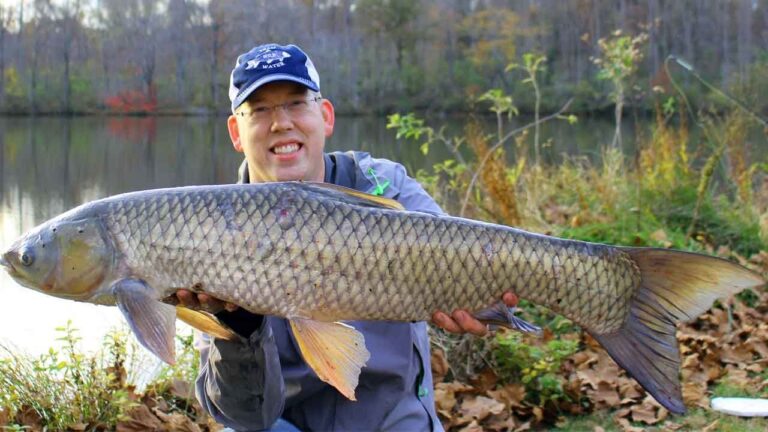 How To Catch Grass Carp Like a Pro