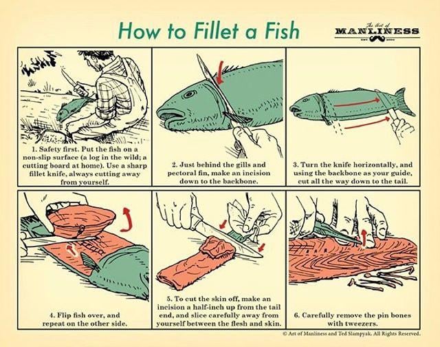 How to Fillet a Fish Step by Step