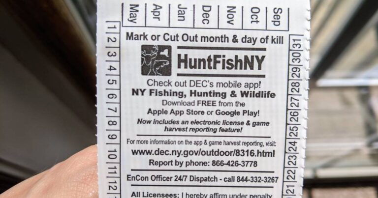 How to Get Your New York Fishing License