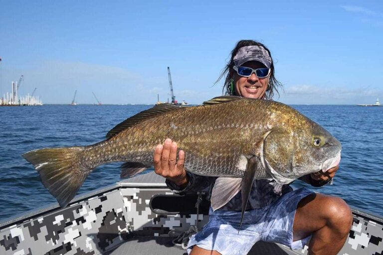 How to identify a Black Drum - Take Me Fishing