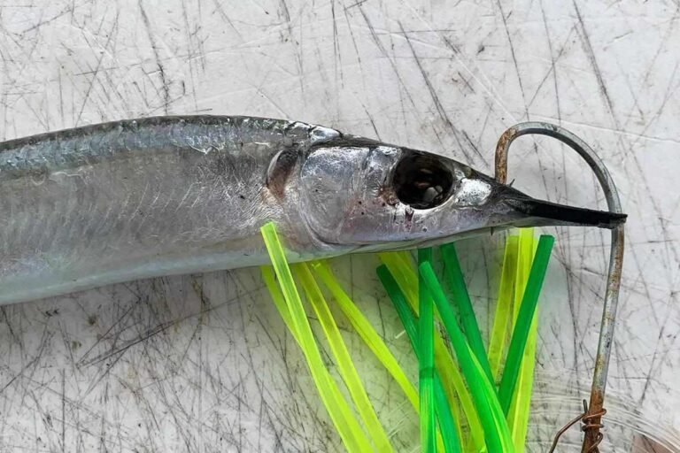 How to Rig Trolling Lures Basics