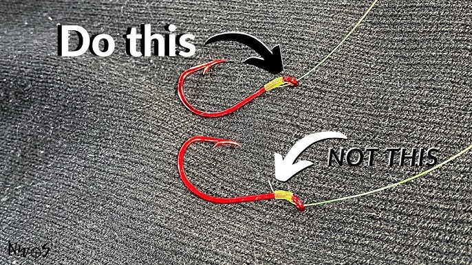 How to Tie an Egg Loop Knot for Fishing