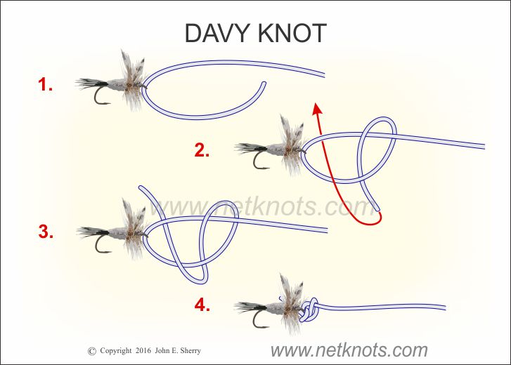 How to Tie Davy Knot Fly Fishing Knot