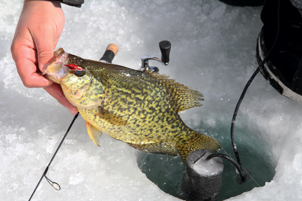 Ice Fishing Jigging Techniques & Tips