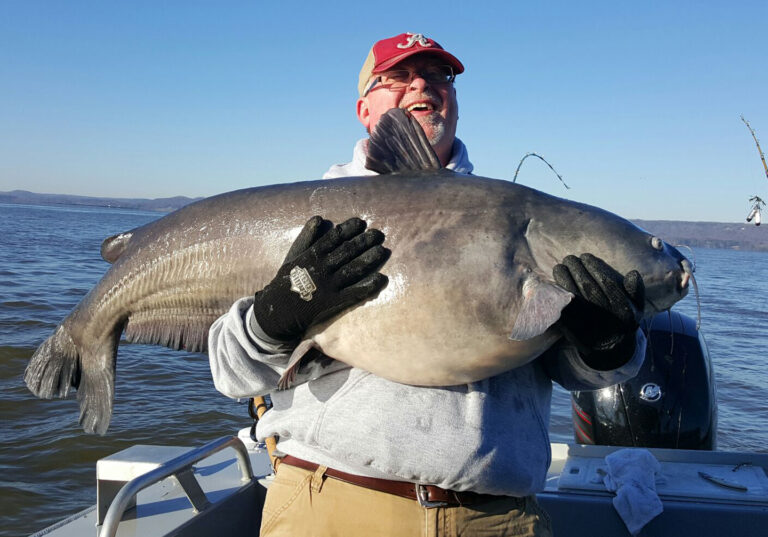 Learn Best Times to Fish for Catfish for Better Results