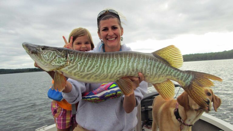 Muskellunge: Discover how to identify and tips to catch