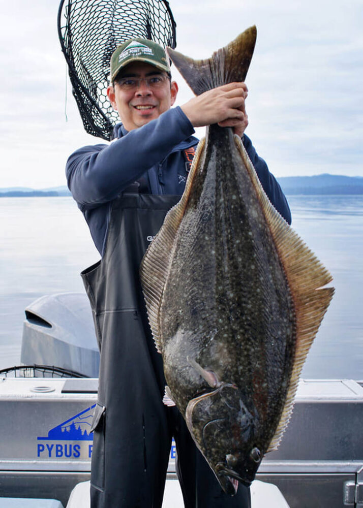 Pacific Halibut: Discover How to Identify And Tips to Catch