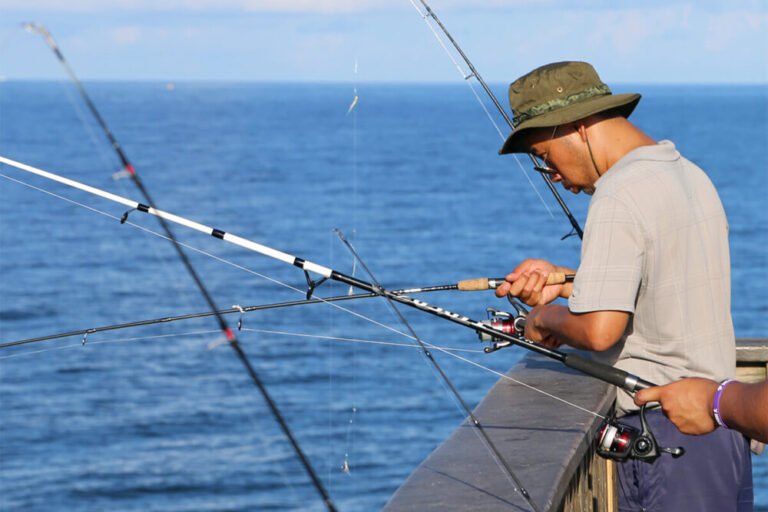 Popular Fishing Line Types & Setup