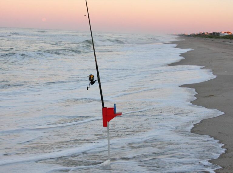 Saltwater Pier & Surf Fishing