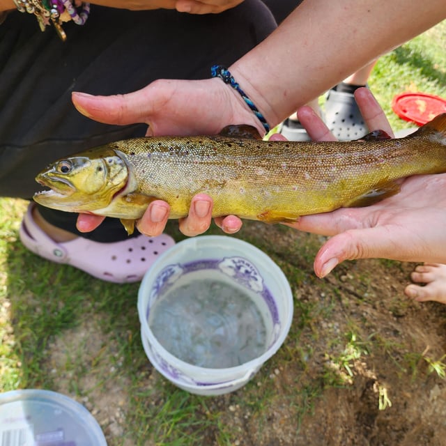 Saque su Licencia de Pesca en Indiana