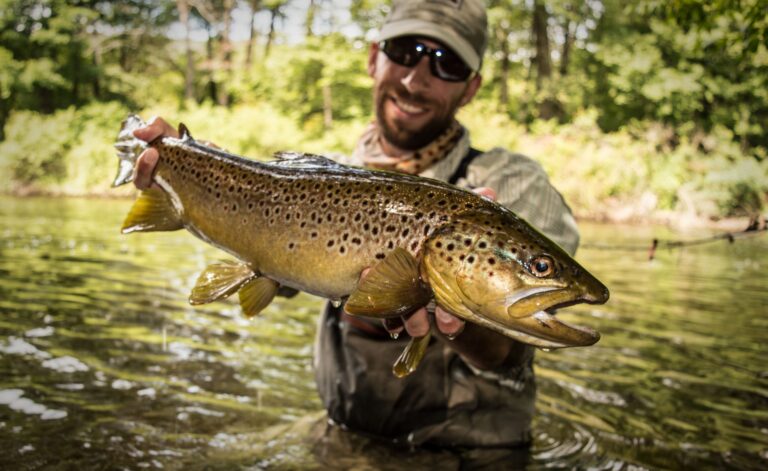 Sea Trout: Discover how to identify and tips to catch