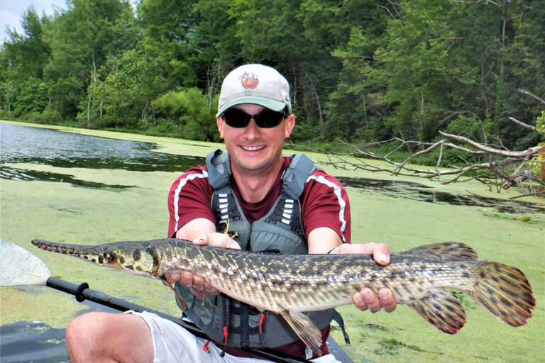 Spotted Gar: Discover How to Identify And Tips to Catch