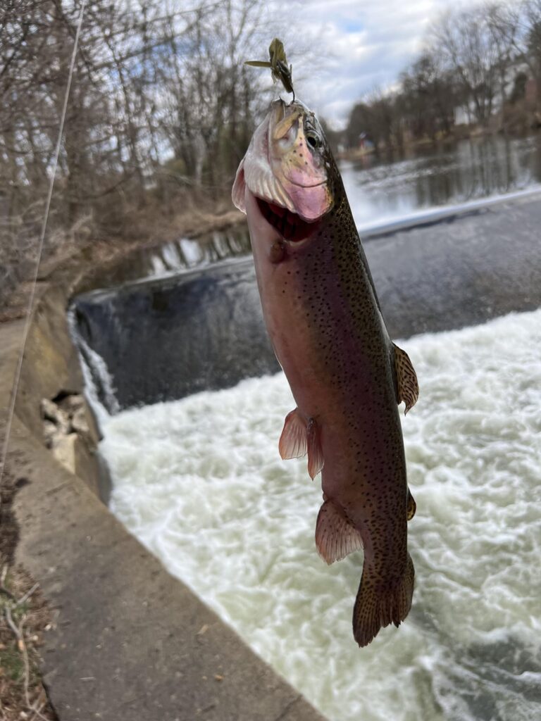 Tips For Trout Fishing in New Jersey