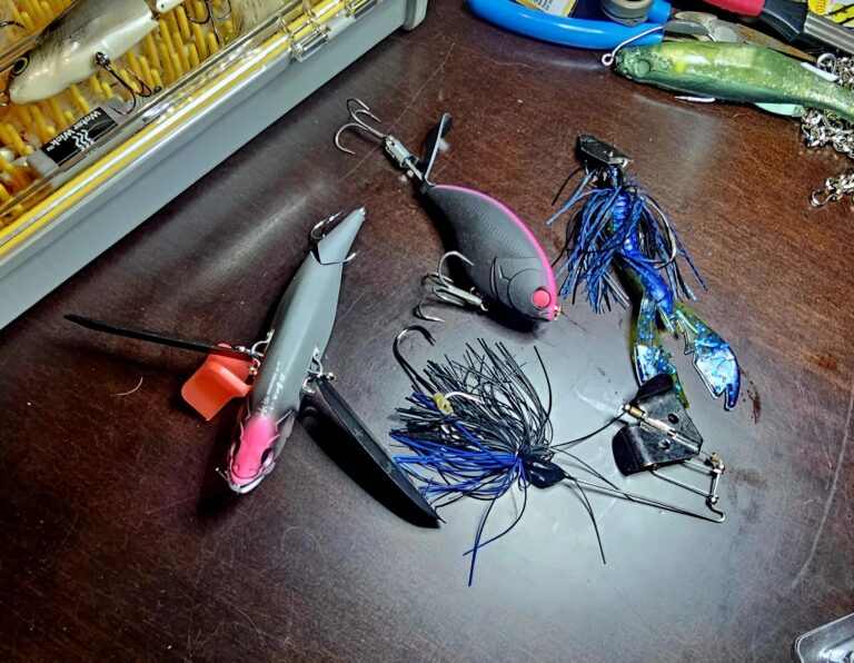 Top Freshwater Fishing Bait for Your Trip